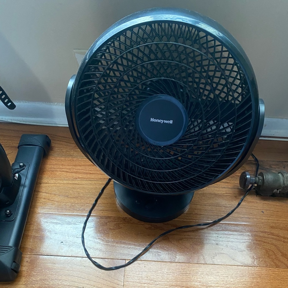 Fan